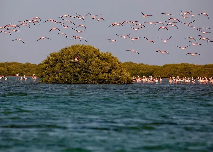 Flamingo Beach