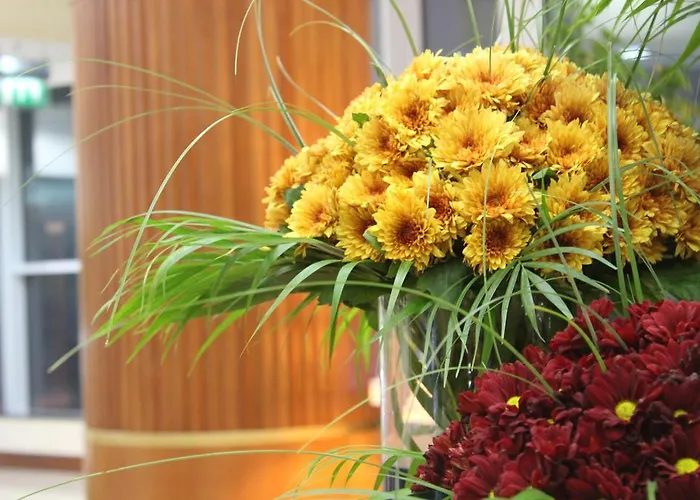 Grand Excelsior Hotel الشارقة, الإمارات العربية المتحدة